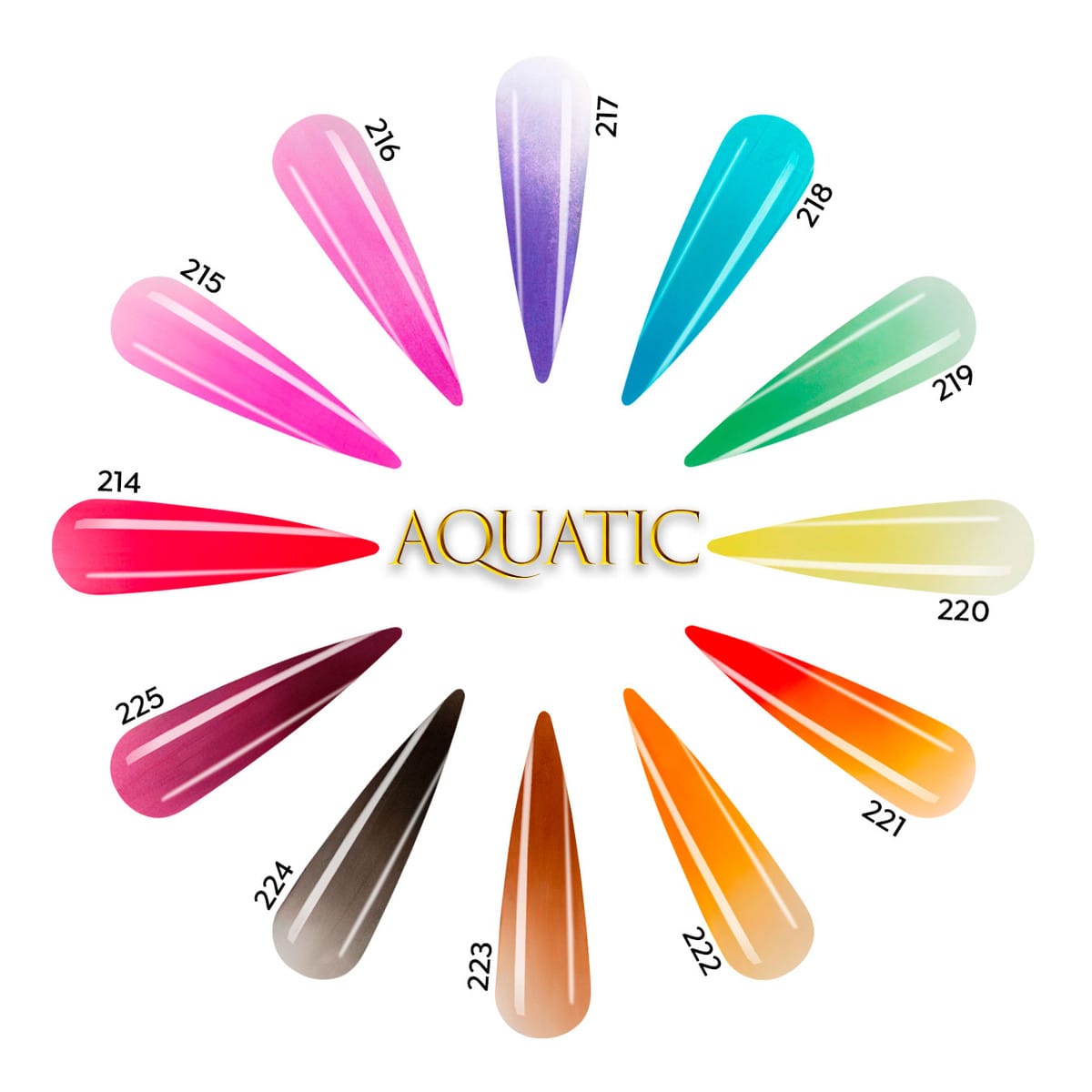 Acrylic Art Powder - 3D Collection: Aquatic (12 x 0.25 oz) — Detail View | Tones Professional Nail Products